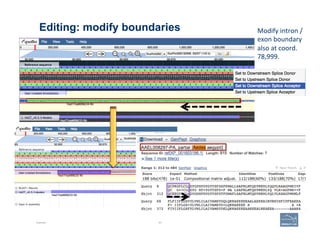 Editing: modify boundaries
Example 83
Modify	
  intron	
  /	
  
exon	
  boundary	
  
also	
  at	
  coord.	
  
78,999.	
  
 