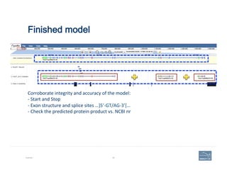 Finished model
Example 84
Corroborate	
  integrity	
  and	
  accuracy	
  of	
  the	
  model:	
  	
  
-­‐	
  Start	
  and	
  Stop	
  
-­‐	
  Exon	
  structure	
  and	
  splice	
  sites	
  …]5’-­‐GT/AG-­‐3’[…	
  
-­‐	
  Check	
  the	
  predicted	
  protein	
  product	
  vs.	
  NCBI	
  nr	
  
 