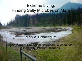 Extreme Living:Finding Salty Microbes on Mars Mark A. Schneegurt Department of Biological Sciences, Wichita State University, Wichita, Kansas 