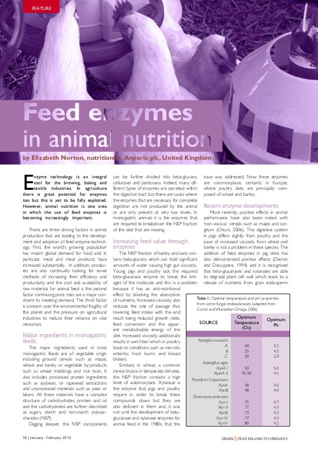 Feed enzymes in animal nutrition