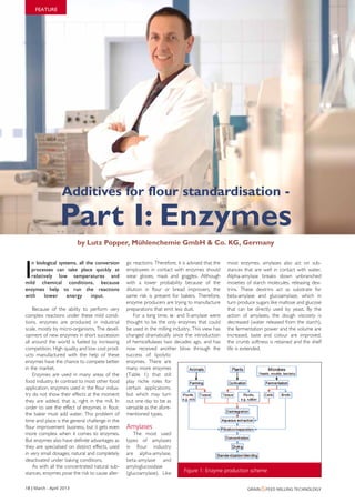 FEATURE




                   Additives for flour standardisation -

                  Part I: Enzymes
                          by Lutz Popper, Mühlenchemie GmbH & Co. KG, Germany



I
  n biological systems, all the conversion       gic reactions. Therefore, it is advised that the   most enzymes, amylases also act on sub-
  processes can take place quickly at            employees in contact with enzymes should           stances that are well in contact with water.
  relatively low temperatures and                wear gloves, mask and goggles. Although            Alpha-amylase breaks down unbranched
mild chemical conditions, because                with a lower probability because of the            moieties of starch molecules, releasing dex-
enzymes help to run the reactions                dilution in flour or bread improvers, the          trins. These dextrins act as substrate for
with    lower      energy     input.             same risk is present for bakers. Therefore,        beta-amylase and glucoamylase, which in
                                                 enzyme producers are trying to manufacture         turn produce sugars like maltose and glucose
    Because of the ability to perform very       preparations that emit less dust.                  that can be directly used by yeast. By the
complex reactions under these mild condi-            For a long time, α- and ß-amylase were         action of amylases, the dough viscosity is
tions, enzymes are produced in industrial        thought to be the only enzymes that could          decreased (water released from the starch),
scale, mostly by micro-organisms. The devel-     be used in the milling industry. This view has     the fermentation power and the volume are
opment of new enzymes in short succession        changed dramatically since the introduction        increased, taste and colour are improved,
all around the world is fueled by increasing     of hemicellulases two decades ago, and has         the crumb softness is retained and the shelf
competition. High quality and low cost prod-     now received another blow through the              life is extended.
ucts manufactured with the help of these         success of lipolytic
enzymes have the chance to compete better        enzymes. There are
in the market.                                   many more enzymes
    Enzymes are used in many areas of the        (Table 1) that still
food industry. In contrast to most other food    play niche roles for
application, enzymes used in the flour indus-    certain applications,
try do not show their effects at the moment      but which may turn
they are added, that is, right in the mill. In   out one day to be as
order to see the effect of enzymes in flour,     versatile as the afore-
the baker must add water. This problem of        mentioned types.
time and place is the general challenge in the
flour improvement business, but it gets even     Amylases
more complex when it comes to enzymes.               The most used
But enzymes also have definite advantages as     types of amylases
they are specialised on distinct effects, used   in flour industry
in very small dosages, natural and completely    are alpha-amylase,
deactivated under baking conditions.             beta-amylase and
    As with all the concentrated natural sub-    amyloglucosidase
stances, enzymes pose the risk to cause aller-   (glucoamylase). Like         Figure 1: Enzyme production scheme


18 | march - april 2013                                                                                      Grain &feed millinG technoloGy
 