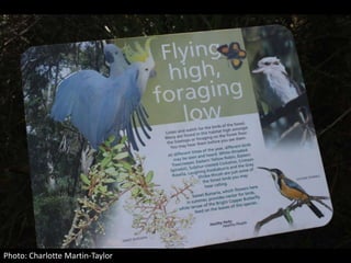 Photo: Charlotte Martin-Taylor