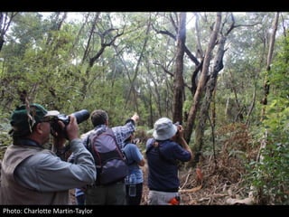 Photo: Charlotte Martin-Taylor