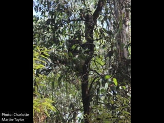 Photo: Charlotte
Martin-Taylor