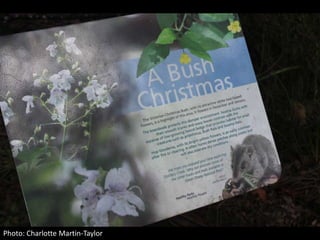 Photo: Charlotte Martin-Taylor