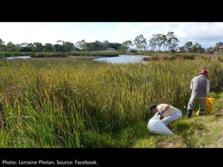 Photo: Lorraine Phelan. Source: Facebook.