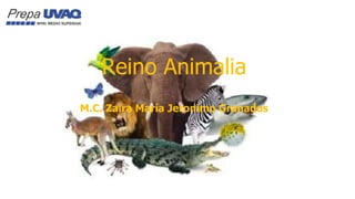 Reino Animalia
M.C. Zaira María Jeronimo Granados
 
