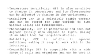 • Temperature sensitivity: GFP is also sensitive
to changes in temperature and its fluorescence
can be affected by changes in the environment.
• Stability: GFP is a relatively stable protein
and can be stored for long periods of time
without losing its fluorescence.
• Photostability: GFP is photostable and does not
degrade quickly when exposed to light, making
it an ideal tool for long-term studies.
• Solubility: GFP is soluble in aqueous
solutions, making it easy to work with in the
laboratory.
• Compatibility: GFP is compatible with a wide
range of cells and organisms and can be used in
 