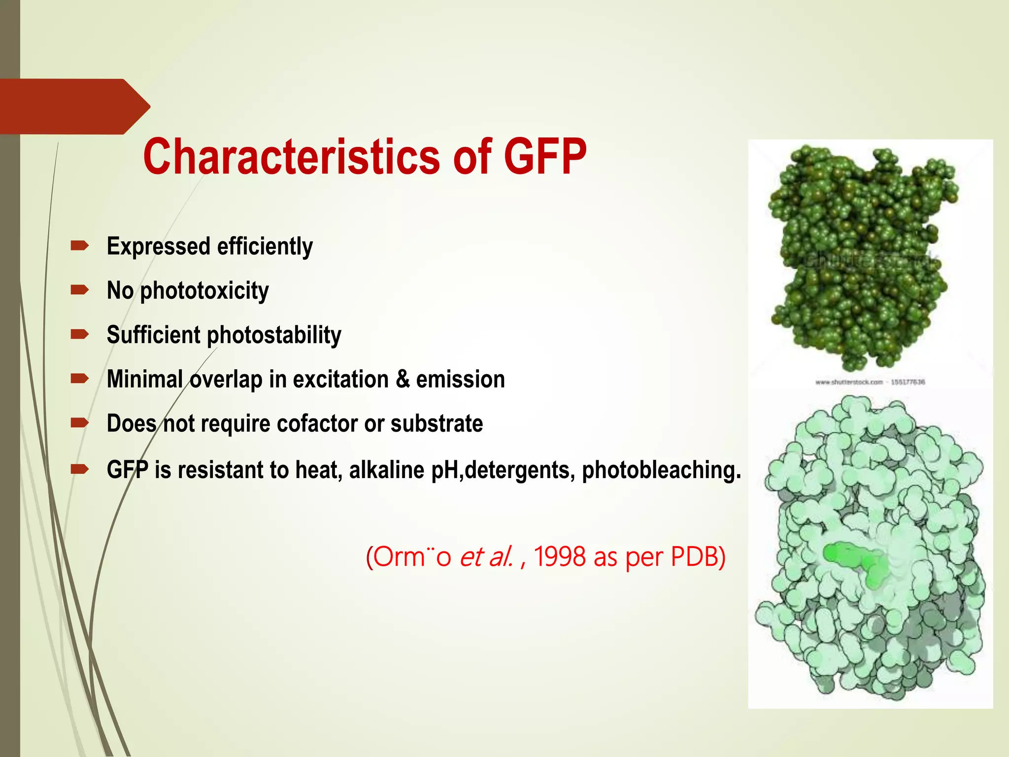 Characteristics of GFP
 Expressed efficiently
 No phototoxicity
 Sufficient photostability
 Minimal overlap in excitation & emission
 Does not require cofactor or substrate
 GFP is resistant to heat, alkaline pH,detergents, photobleaching.
(Orm¨o et al. , 1998 as per PDB)
 