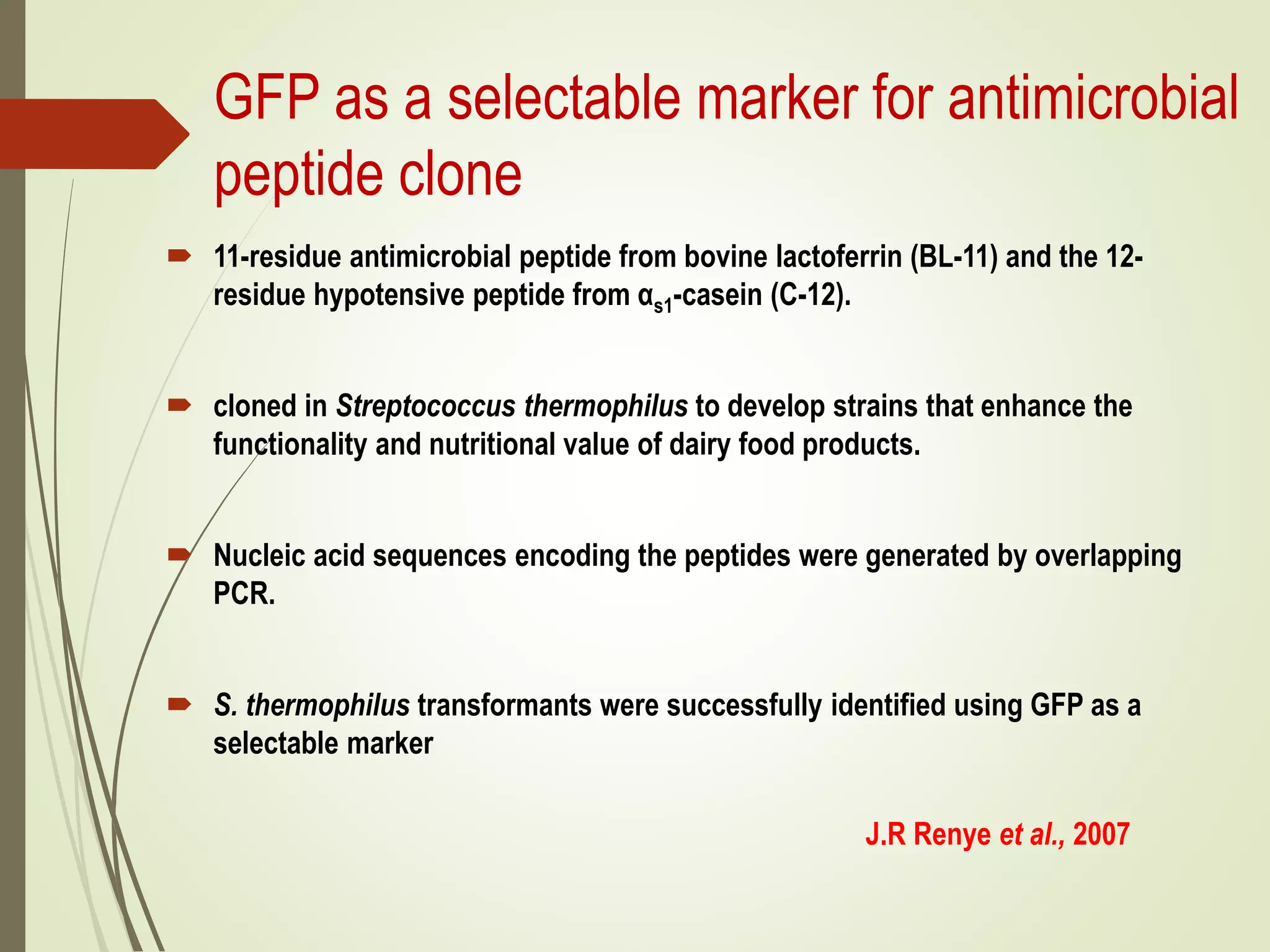 GFP as a selectable marker for antimicrobial
peptide clone
 11-residue antimicrobial peptide from bovine lactoferrin (BL-11) and the 12-
residue hypotensive peptide from αs1-casein (C-12).
 cloned in Streptococcus thermophilus to develop strains that enhance the
functionality and nutritional value of dairy food products.
 Nucleic acid sequences encoding the peptides were generated by overlapping
PCR.
 S. thermophilus transformants were successfully identified using GFP as a
selectable marker
J.R Renye et al., 2007
 