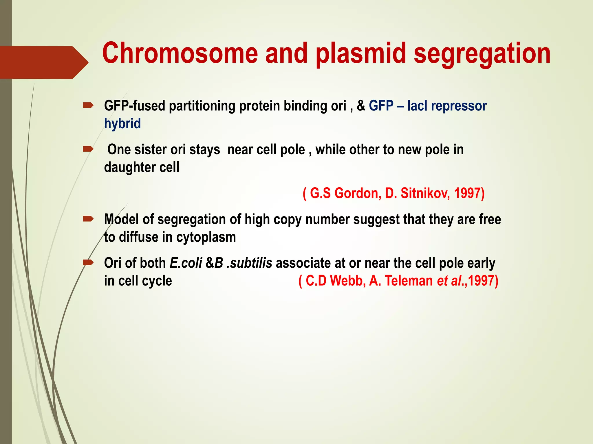 Chromosome and plasmid segregation
 GFP-fused partitioning protein binding ori , & GFP – lacI repressor
hybrid
 One sister ori stays near cell pole , while other to new pole in
daughter cell
( G.S Gordon, D. Sitnikov, 1997)
 Model of segregation of high copy number suggest that they are free
to diffuse in cytoplasm
 Ori of both E.coli &B .subtilis associate at or near the cell pole early
in cell cycle ( C.D Webb, A. Teleman et al.,1997)
 