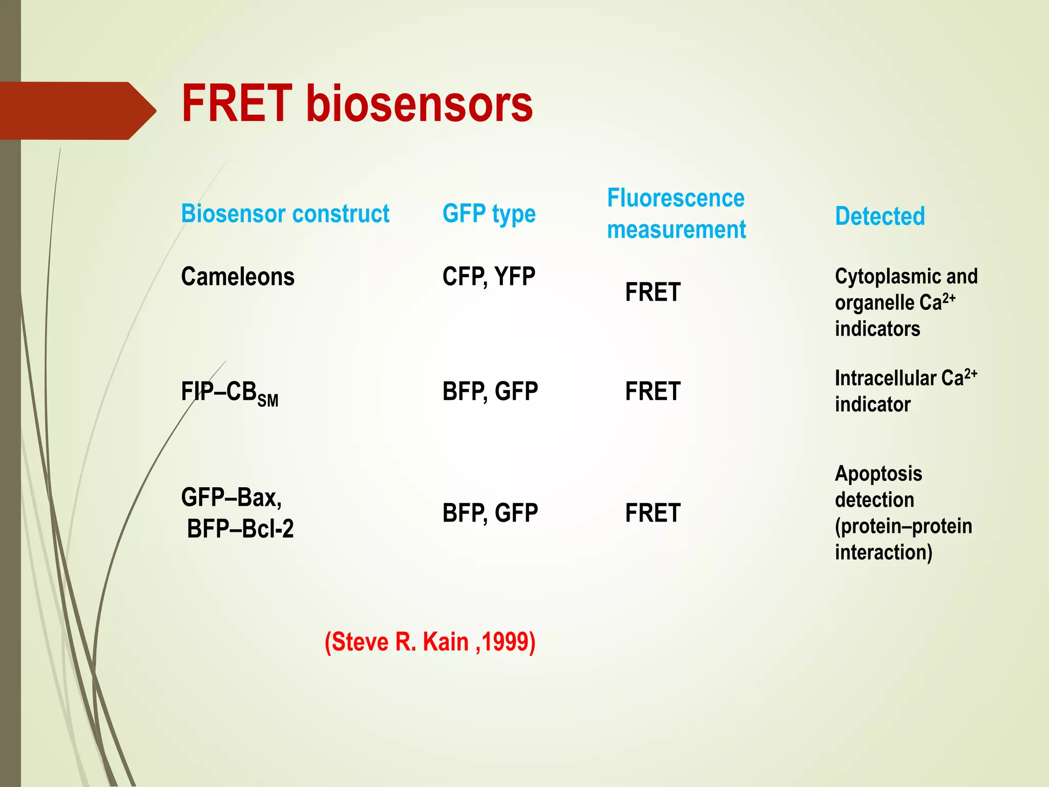 FRET biosensors
Biosensor construct
Cameleons
GFP type
CFP, YFP
Fluorescence
measurement
FRET
Detected
Cytoplasmic and
organelle Ca2+
indicators
FIP–CBSM BFP, GFP FRET
Intracellular Ca2+
indicator
GFP–Bax,
BFP–Bcl-2
BFP, GFP FRET
Apoptosis
detection
(protein–protein
interaction)
(Steve R. Kain ,1999)
 