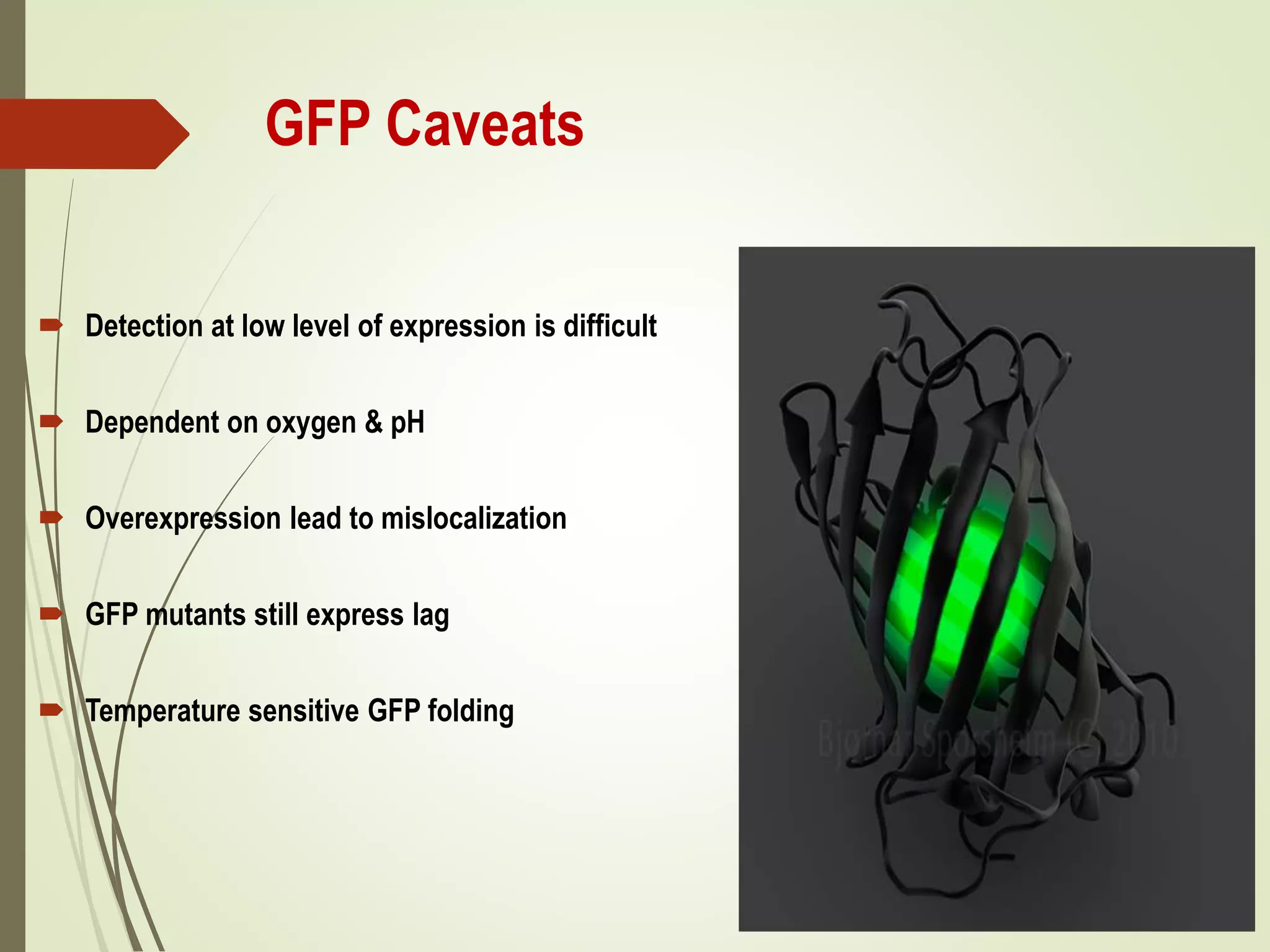 GFP Caveats
 Detection at low level of expression is difficult
 Dependent on oxygen & pH
 Overexpression lead to mislocalization
 GFP mutants still express lag
 Temperature sensitive GFP folding
 