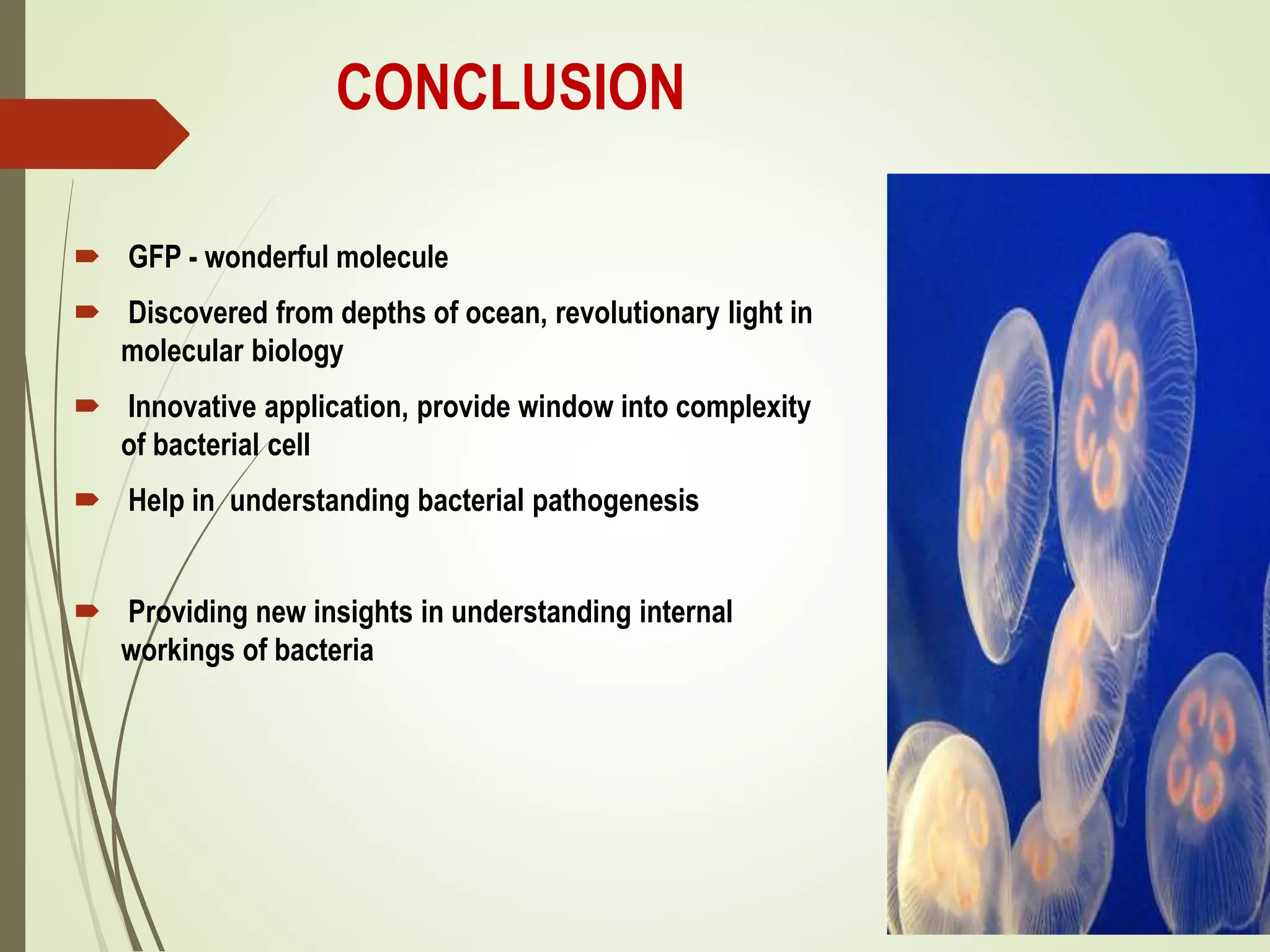 CONCLUSION
 GFP - wonderful molecule
 Discovered from depths of ocean, revolutionary light in
molecular biology
 Innovative application, provide window into complexity
of bacterial cell
 Help in understanding bacterial pathogenesis
 Providing new insights in understanding internal
workings of bacteria
 