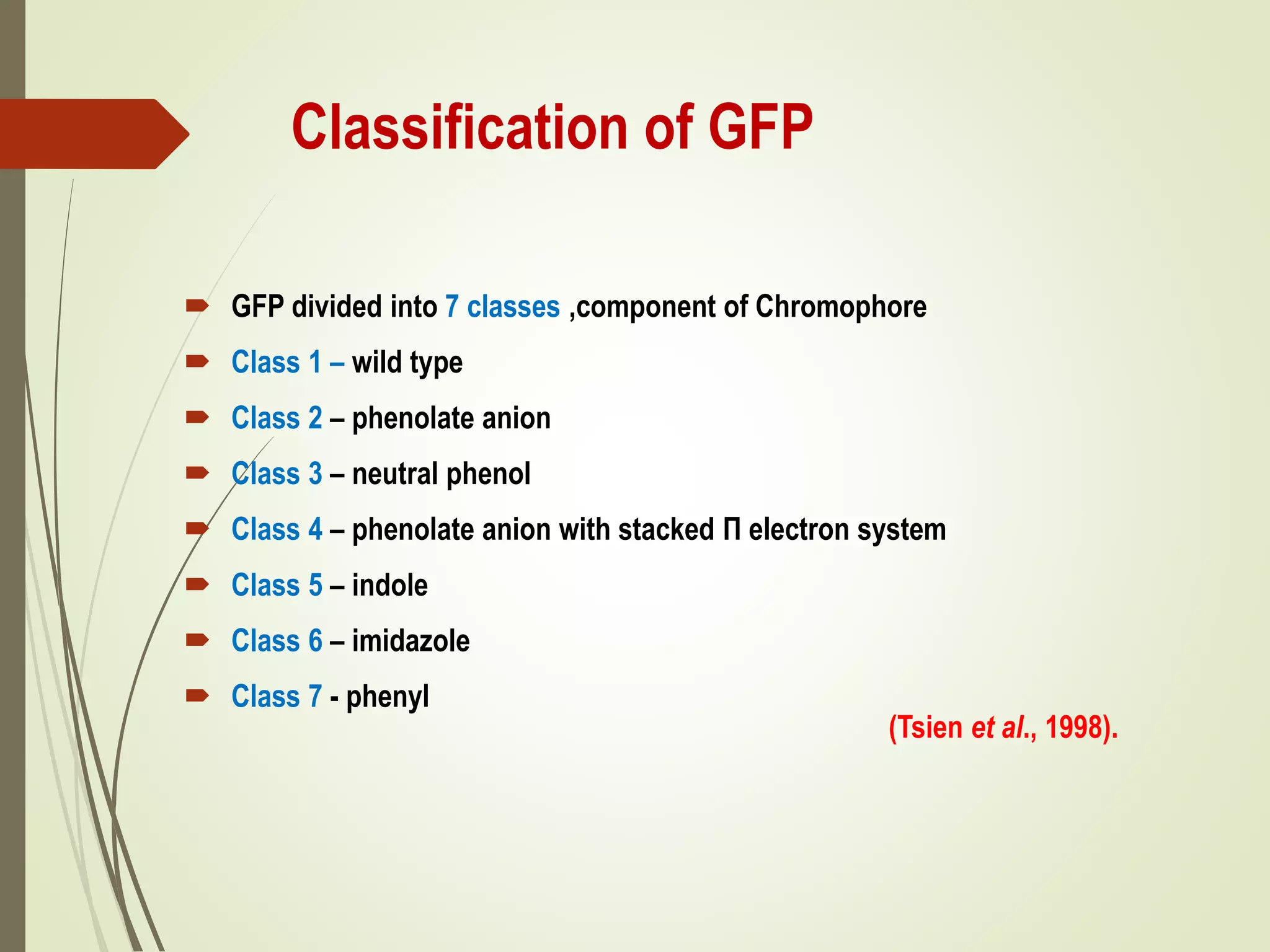 Classification of GFP
 GFP divided into 7 classes ,component of Chromophore
 Class 1 – wild type
 Class 2 – phenolate anion
 Class 3 – neutral phenol
 Class 4 – phenolate anion with stacked Π electron system
 Class 5 – indole
 Class 6 – imidazole
 Class 7 - phenyl
(Tsien et al., 1998).
 