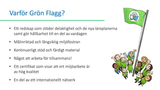 Grön Flagg-miljöprogrammet i Finland 