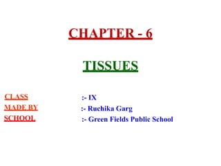 CHAPTER - 6
TISSUES
CLASS
MADE BY
SCHOOL
:- IX
:- Ruchika Garg
:- Green Fields Public School
 