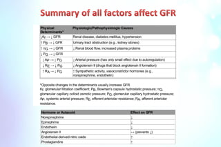 Comprehensive Overview of Glomerular Filtration Rate (GFR) Mechanisms ...
