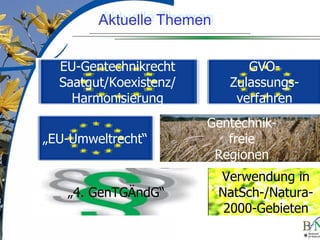 LuettgeL@bfn.de

Aktuelle Themen
Aktuelle Themen
EU-Gentechnikrecht
Saatgut/Koexistenz/
Harmonisierung
„EU-Umweltrecht“

„4. GenTGÄndG“

GVOZulassungsverfahren
Gentechnikfreie
Regionen
Verwendung in
NatSch-/Natura2000-Gebieten
20

 