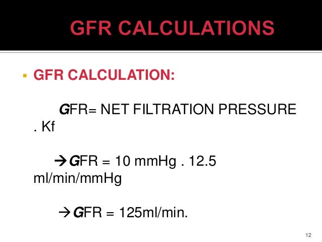 Gfr Calculator Ruler How To Calculate Gfr | Calculating kidney function – YLSAC