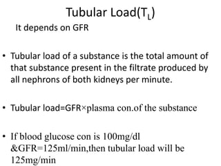 Tubular Load(TL)
It depends on GFR
• Tubular load of a substance is the total amount of
that substance present in the filtrate produced by
all nephrons of both kidneys per minute.
• Tubular load=GFR×plasma con.of the substance
• If blood glucose con is 100mg/dl
&GFR=125ml/min,then tubular load will be
125mg/min
 
