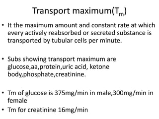 Transport maximum(Tm)
• It the maximum amount and constant rate at which
every actively reabsorbed or secreted substance is
transported by tubular cells per minute.
• Subs showing transport maximum are
glucose,aa,protein,uric acid, ketone
body,phosphate,creatinine.
• Tm of glucose is 375mg/min in male,300mg/min in
female
• Tm for creatinine 16mg/min
 