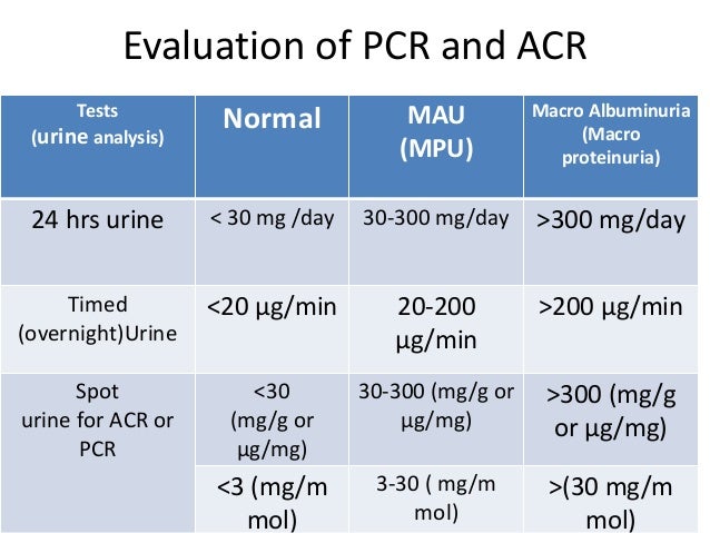27 TEST URINE ACR TestUrine 27-test-urine-acr-testurine