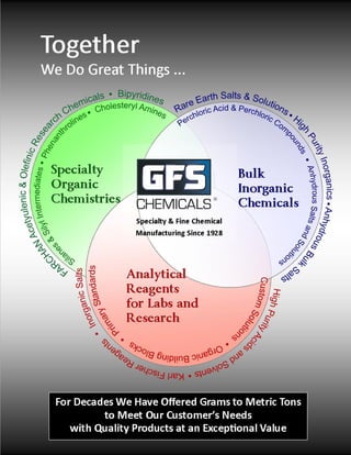 Gfs Core Business