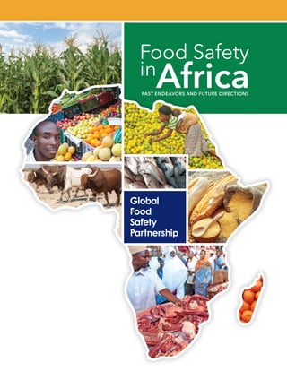 Food Safety
in
Africa
PAST ENDEAVORS AND FUTURE DIRECTIONS
 