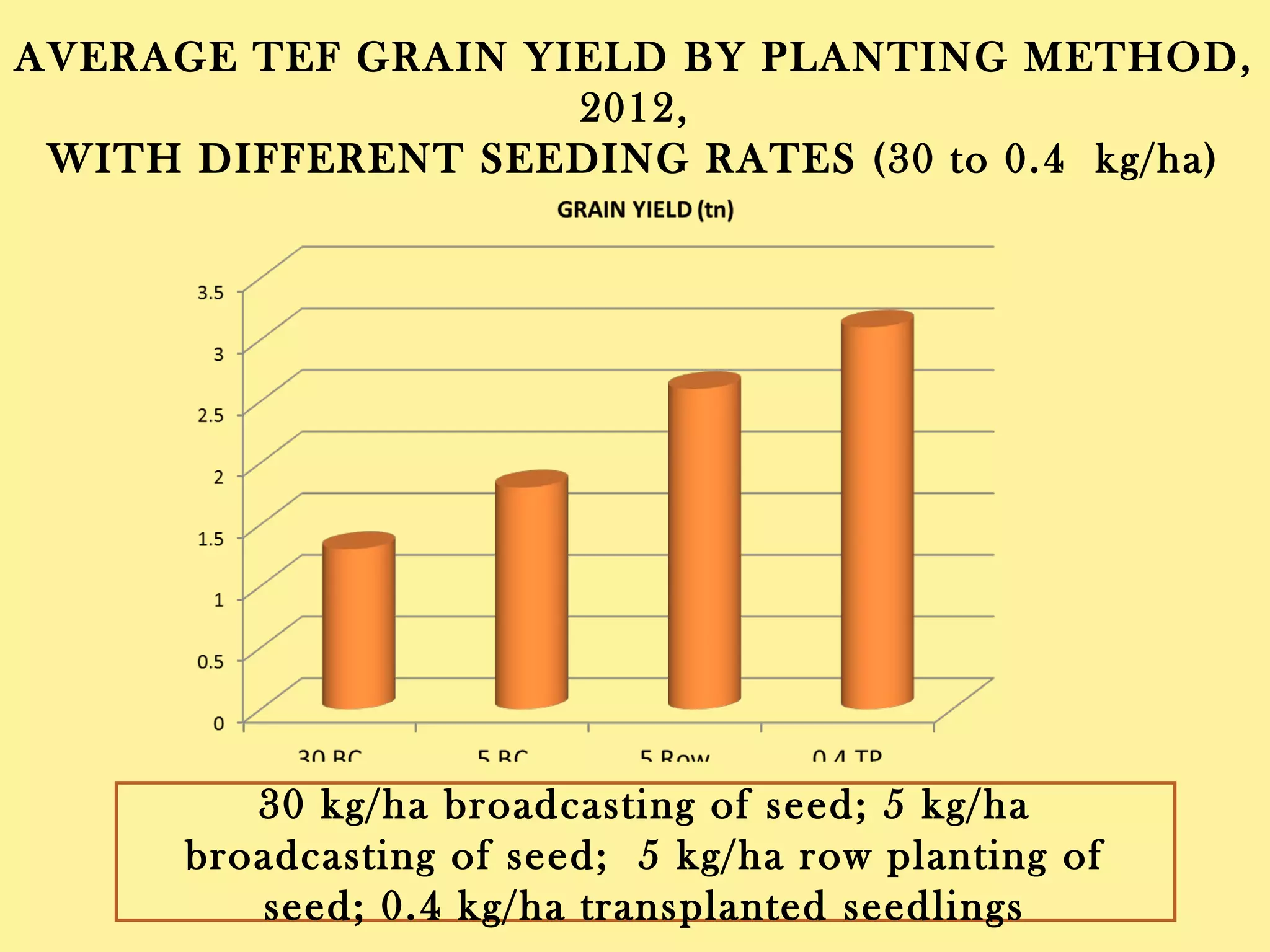 AVERAGE TEF GRAIN YIELD BY PLANTING METHOD, 2012,
WITH DIFFERENT SEEDING RATES (30 to 0.4 kg/ha)
0
0.5
1
1.5
2
2.5
3
3.5
30 BC 5 BC 5 Row 0.4 TP
GRAIN YIELD (tn)
30 kg/ha broadcasting of seed; 5 kg/ha broadcasting of seed;
5 kg/ha row planting of seed; 0.4 kg/ha transplanted
seedlings
 