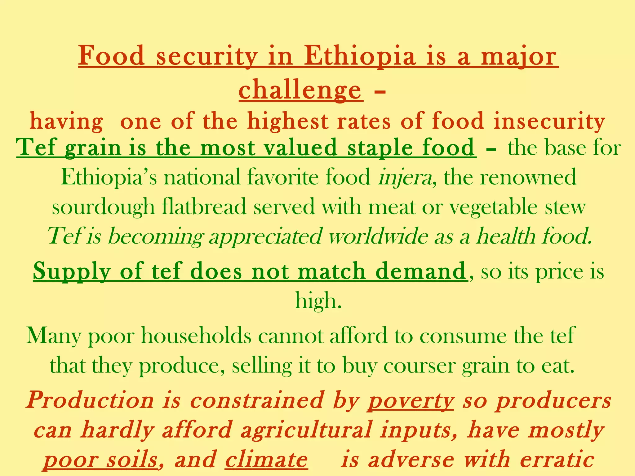 Food security in Ethiopia is a major challenge –
having one of the highest rates of food insecurity
Tef grain is the most valued staple food – the base for
Ethiopia’s national favorite food injera, the renowned
sourdough flatbread served with meat or vegetable stew
Tef is becoming appreciated worldwide as a health food.
Supply of tef does not match demand, so its price is high.
Many poor households cannot afford to consume the tef
that they produce, selling it to buy courser grain to eat.
Production is constrained by poverty so producers can hardly
afford agricultural inputs, have mostly poor soils, and climate
is adverse with erratic rainfall and frequent storm damage
 
