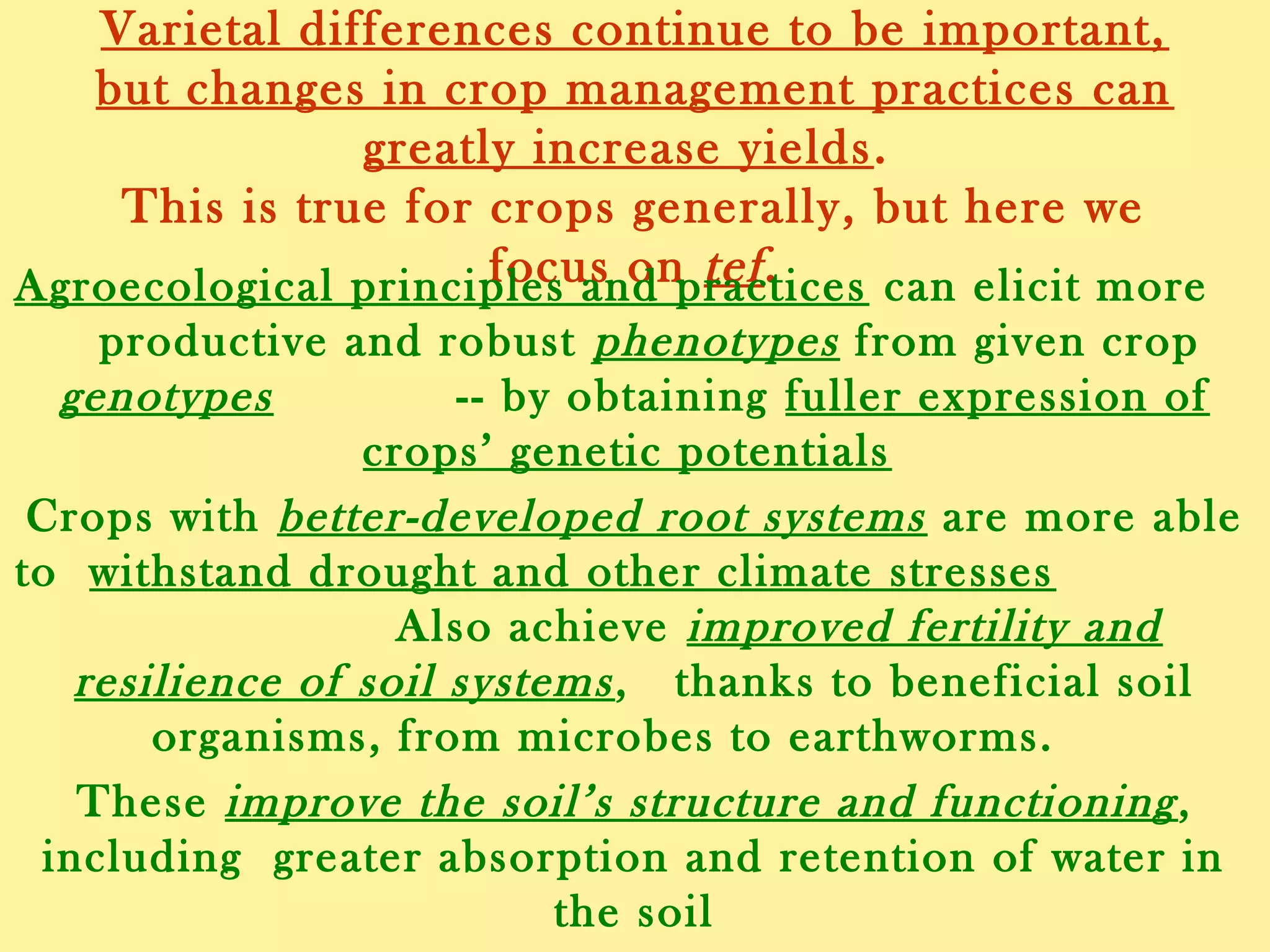 Varietal differences continue to be important, but changes
in crop management practices can greatly increase yields.
This is true for crops generally, but here we focus on tef.
Agroecological principles and practices can elicit more
productive and robust phenotypes from given crop genotypes
-- by obtaining fuller expression of crops’ genetic potentials
Crops with better-developed root systems are more able to
withstand drought and other climate stresses
Also achieve improved fertility and resilience of soil systems,
thanks to beneficial soil organisms, from microbes to earthworms.
These improve the soil’s structure and functioning, including
greater absorption and retention of water in the soil
Also, plants have more resistance to damage from pests and
diseases
 