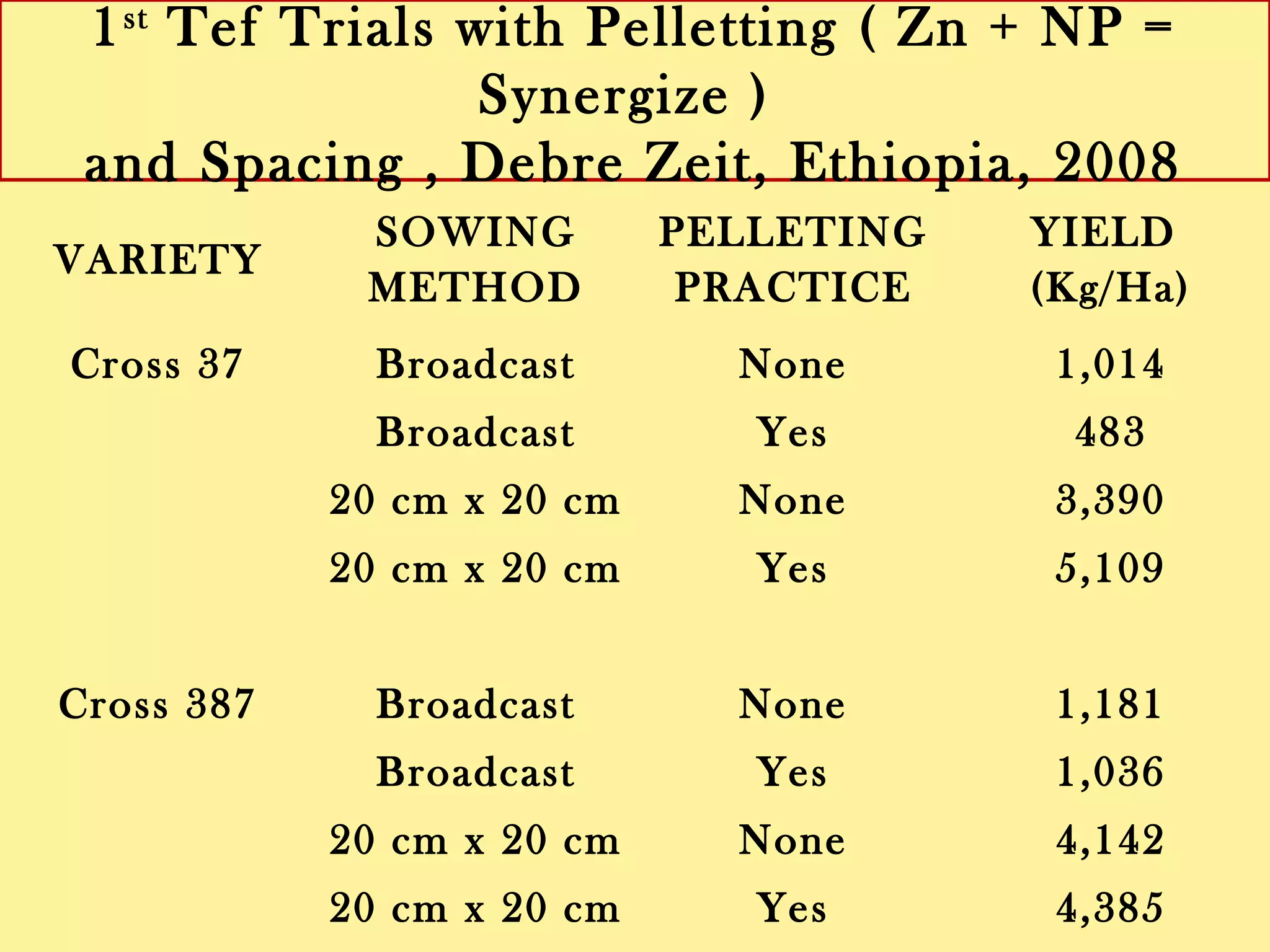 VARIETY
SOWING
METHOD
PELLETING
PRACTICE
YIELD
(Kg/Ha)
Cross 37 Broadcast None 1,014
Broadcast Yes 483
20 cm x 20 cm None 3,390
20 cm x 20 cm Yes 5,109
Cross 387 Broadcast None 1,181
Broadcast Yes 1,036
20 cm x 20 cm None 4,142
20 cm x 20 cm Yes 4,385
1st Tef Trials with Pelleting ( Synergize = Zn + N + P )
and Spacing, Debre Zeit, Ethiopia, 2008
 