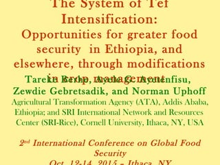 The System of Tef Intensification:
Opportunities for greater food security in
Ethiopia, and elsewhere, through
modifications in crop management
Tareke Berhe, Ayele G. Ayetenfisu,
Zewdie Gebretsadik, and Norman Uphoff
Agricultural Transformation Agency (ATA), Addis Ababa,
Ethiopia; and SRI International Network and Resources
Center (SRI-Rice), Cornell University, Ithaca, NY, USA
2nd International Conference on Global Food Security
Oct. 12-14, 2015 – Ithaca, NY
 