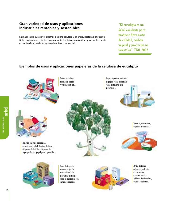 Cuál sería la una política forestal idónea? - Página 5 - ellinceiberico.com