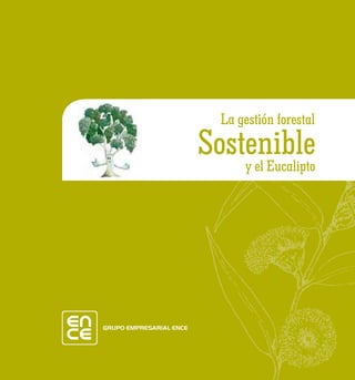 La gestión forestal
Sostenible
    y el Eucalipto
 
