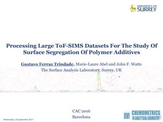 +
Processing Large ToF-SIMS Datasets For The Study Of
Surface Segregation Of Polymer Additives
Wednesday, 20 September 2017 1
Gustavo Ferraz Trindade, Marie-Laure Abel and John F. Watts
The Surface Analysis Laboratory, Surrey, UK
CAC 2016
Barcelona
 