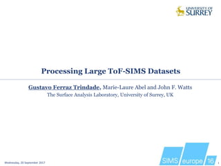 Processing Large ToF-SIMS Datasets
Wednesday, 20 September 2017 1
Gustavo Ferraz Trindade, Marie-Laure Abel and John F. Watts
The Surface Analysis Laboratory, University of Surrey, UK
 