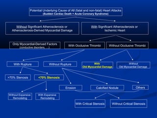 Potential Underlying Cause of All (fatal and non-fatal) Heart Attacks
(Sudden Cardiac Death + Acute Coronary Syndrome)
With Occlusive Thrombi
With Rupture
>70% Stenosis
With Significant Atherosclerosis or
Ischemic Heart
<70% Stenosis
Without Significant Atherosclerosis or
Atherosclerosis-Derived Myocardial Damage
Without Occlusive Thrombi
Without Rupture With
Old Myocardial Damage
Without
Old Myocardial Damage
Only Myocardial-Derived Factors
(conductive disorders, …)
Erosion Calcified Nodule Others
With Critical Stenosis Without Critical Stenosis
With Expansive
Remodeling
Without Expansive
Remodeling
 