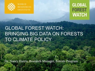 GLOBAL FOREST WATCH:
BRINGING BIG DATA ON FORESTS
TO CLIMATE POLICY
Dr. Nancy Harris, Research Manager, Forests Program
 