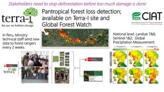 From Space to Village: An Overview of SERVIR’s Forest Monitoring Resources 