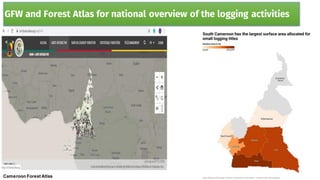 Cameroon Forest Atlas
GFW and Forest Atlas for national overview of the logging activities
 