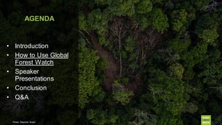 AGENDA
• Introduction
• How to Use Global
Forest Watch
• Speaker
Presentations
• Conclusion
• Q&A
Photo: Reporter Brasil
 