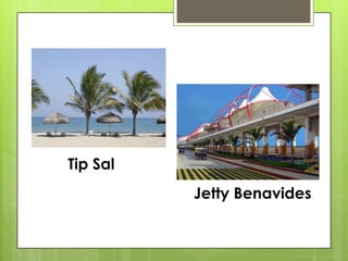 Tip Sal
Jetty Benavides

 