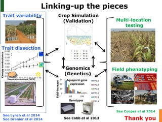 Advances in below and above-ground phenotyping