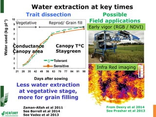 Advances in below and above-ground phenotyping