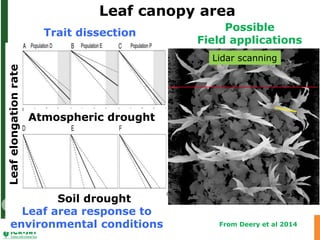 Advances in below and above-ground phenotyping