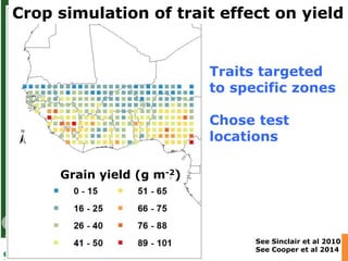 Advances in below and above-ground phenotyping