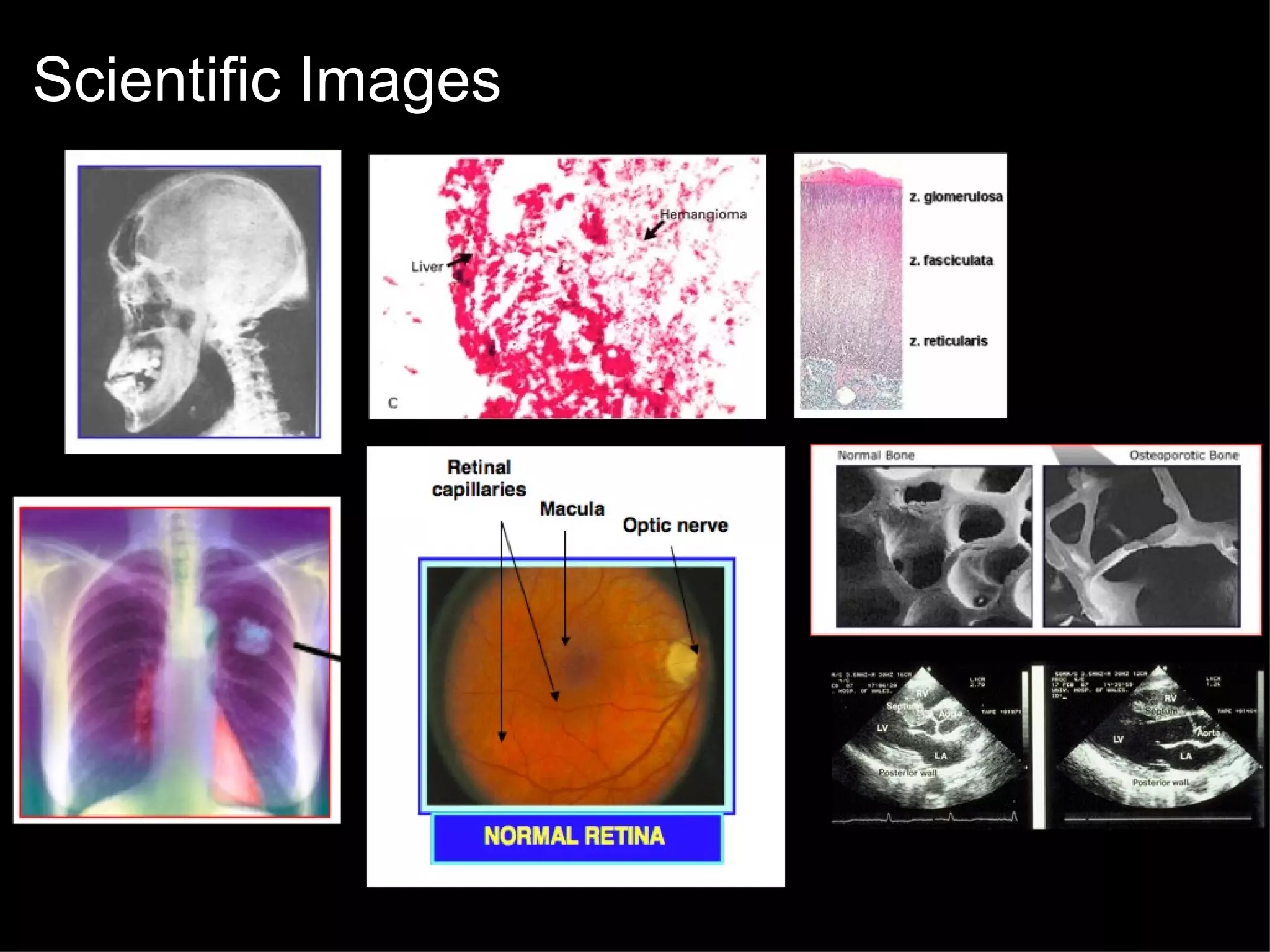 Illustrations: Chemical Representations 