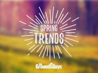 Spring Trends | Tips from The Grounds Guys®